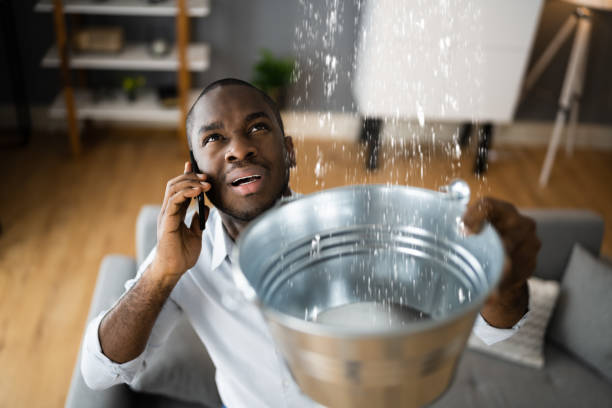 Best Water damage repair service  in Hugo, MN