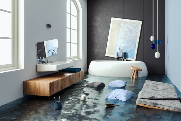 Best Mold removal after water damage  in Hugo, MN