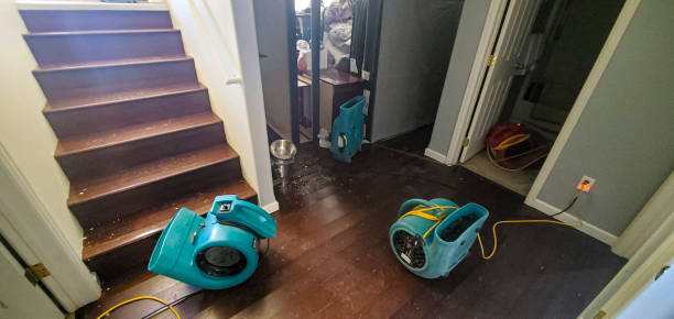 Best Flood damage cleanup  in Hugo, MN