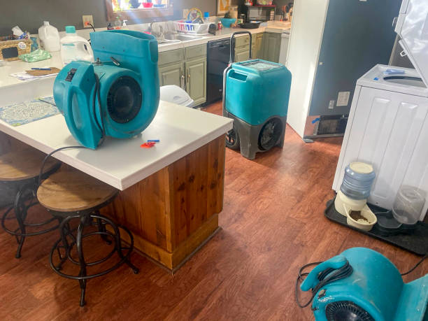 Best Basement water damage restoration  in Hugo, MN