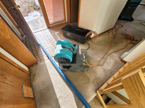 Best Flooded house restoration  in Hugo, MN