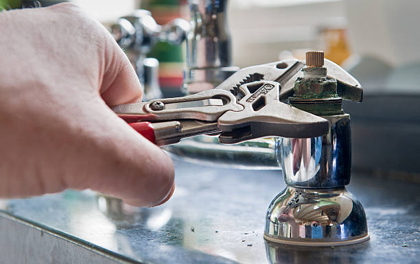 Best Water damage cleanup near me  in Hugo, MN