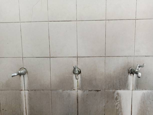 Best Fire Damage Restoration  in Hugo, MN