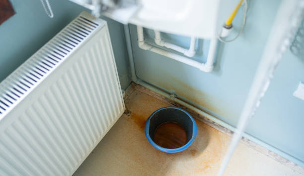 Best Water damage restoration process  in Hugo, MN