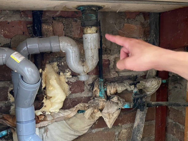 Best Water damage cleanup near me  in Hugo, MN